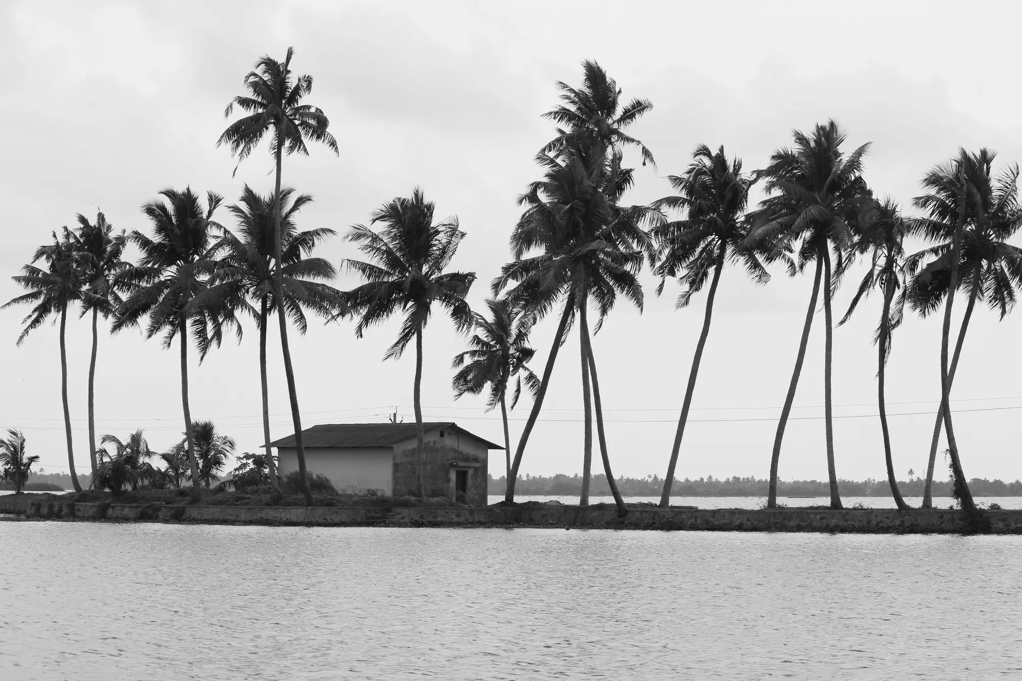 Kerala Backwater Bliss package hero