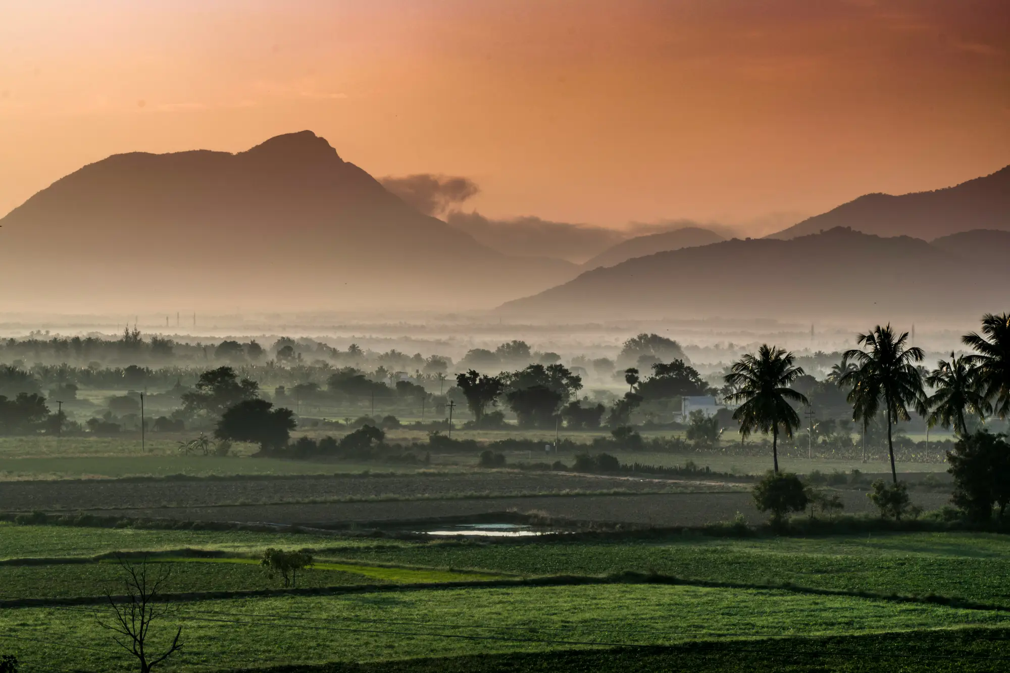 Tamil Nadu destination hero