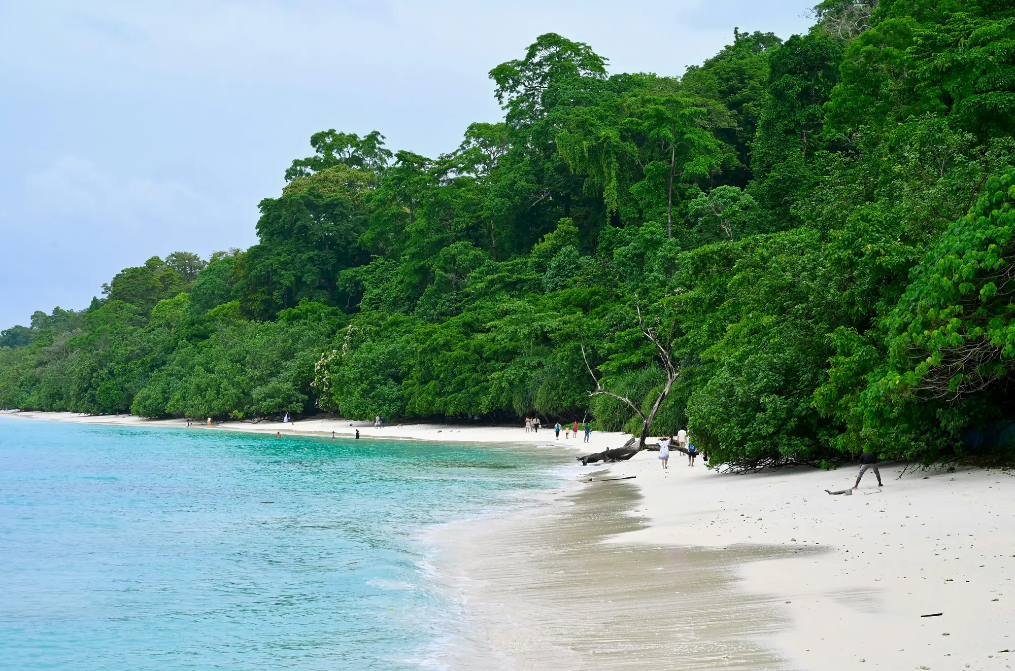 Andaman gallery image