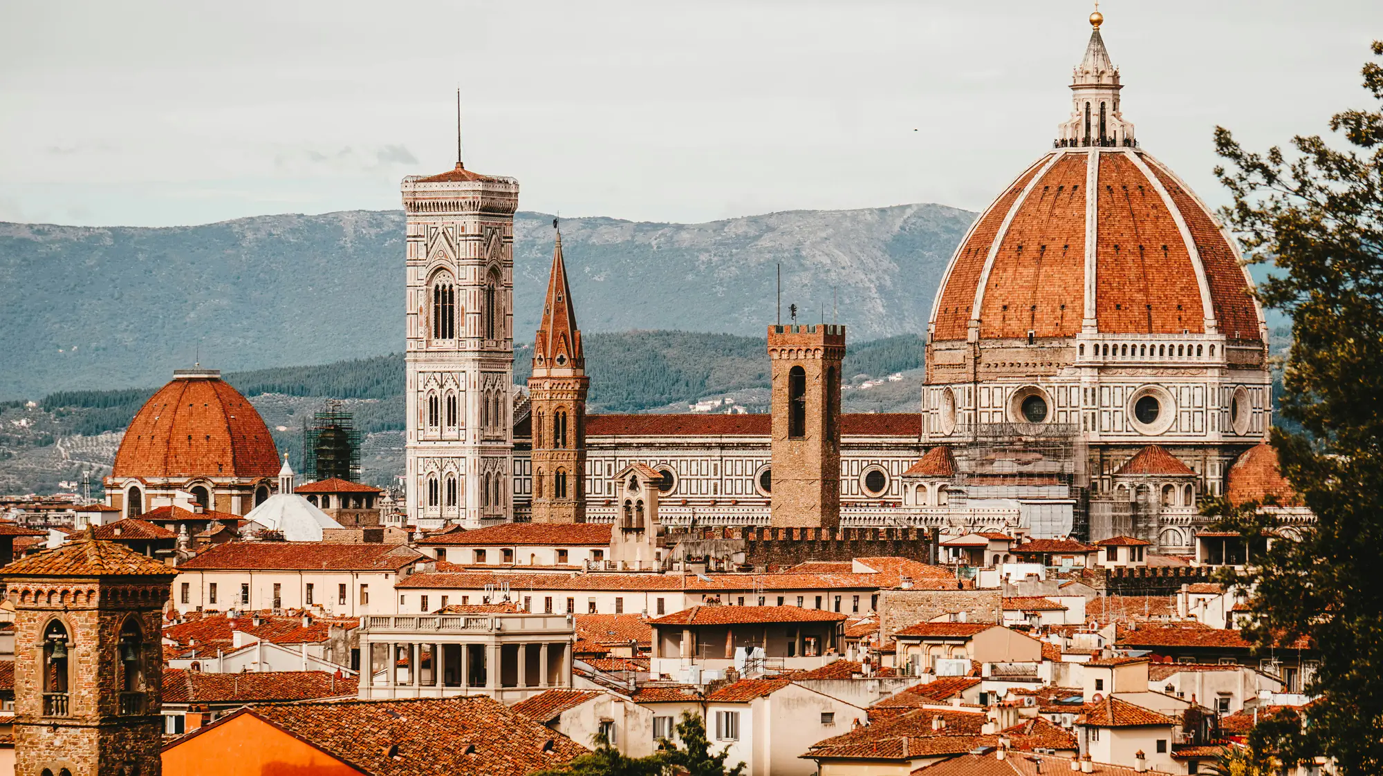 Italy gallery