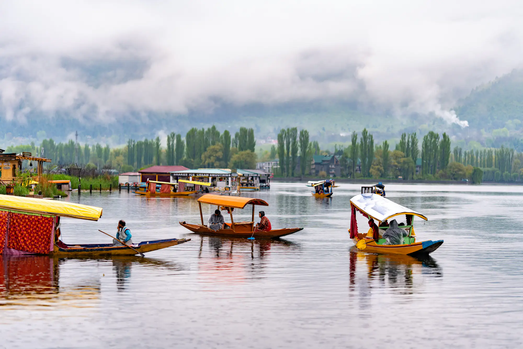 Kashmir gallery