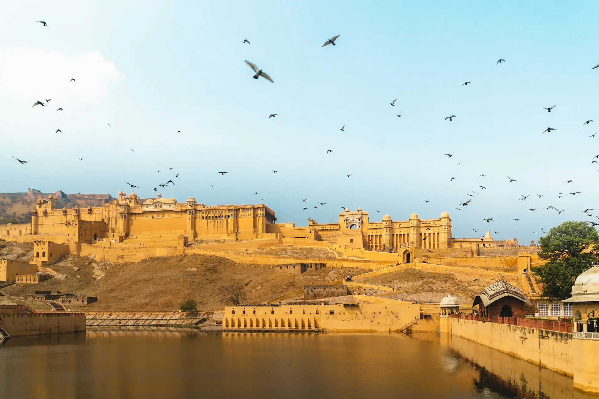 Rajasthan gallery image