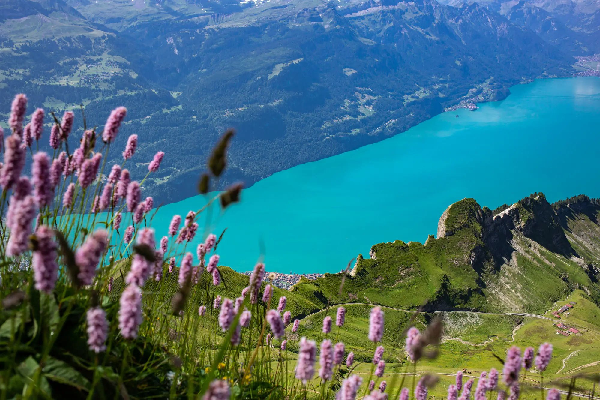 Switzerland gallery image