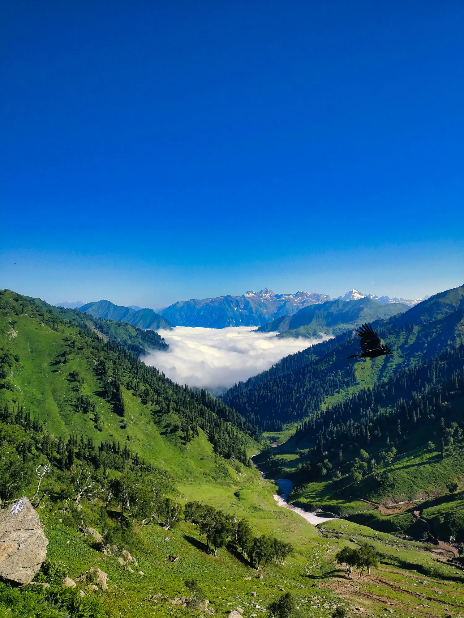 Kashmir Escape
