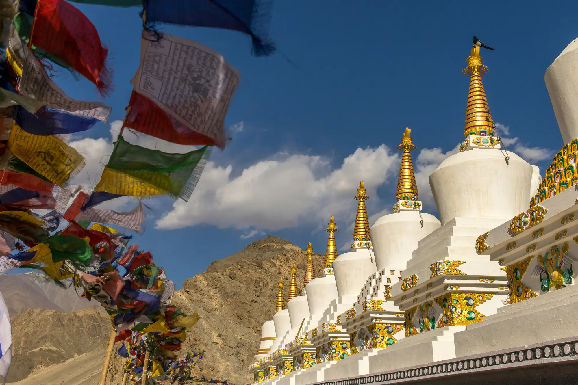 Travel gallery image